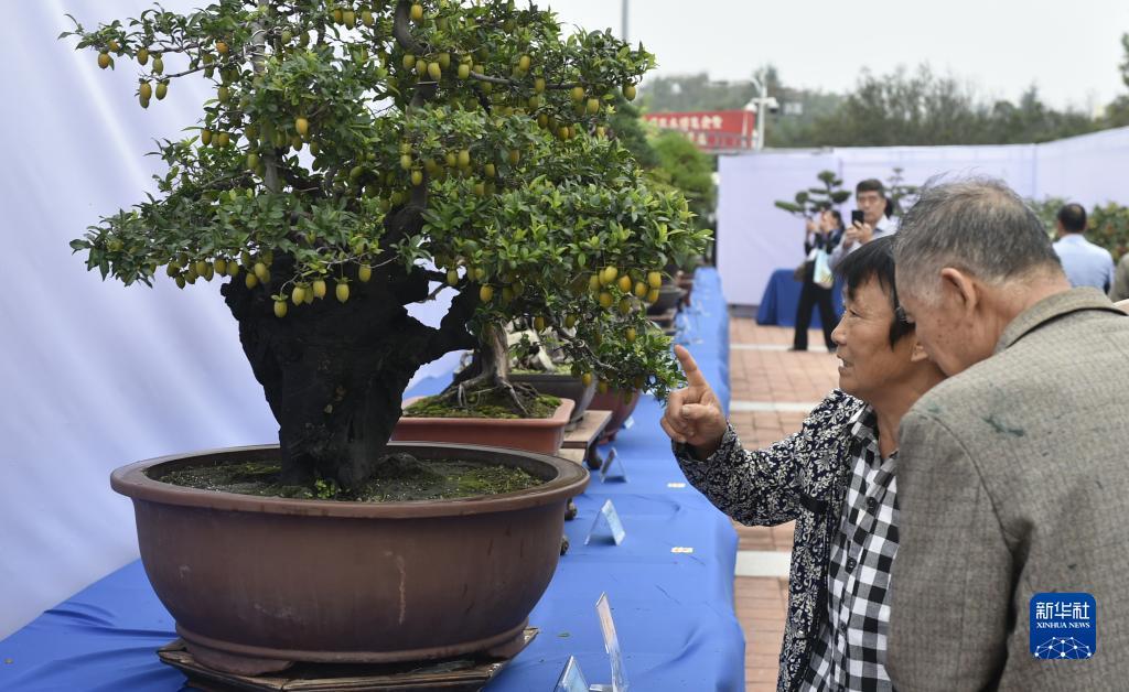 公海欢迎来到赌船